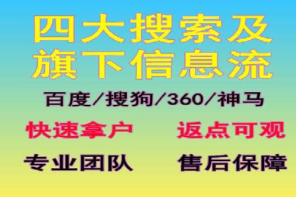 某某sem代运营公司：精准投放的背后策略